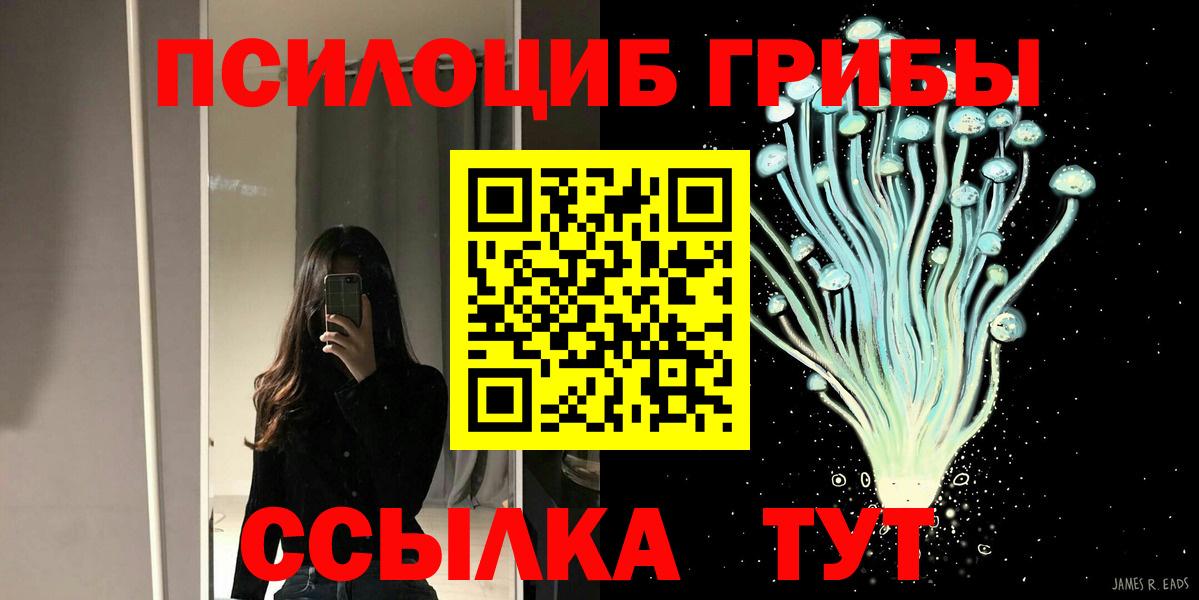 Псилоцибиновые грибы мицелий Павлово