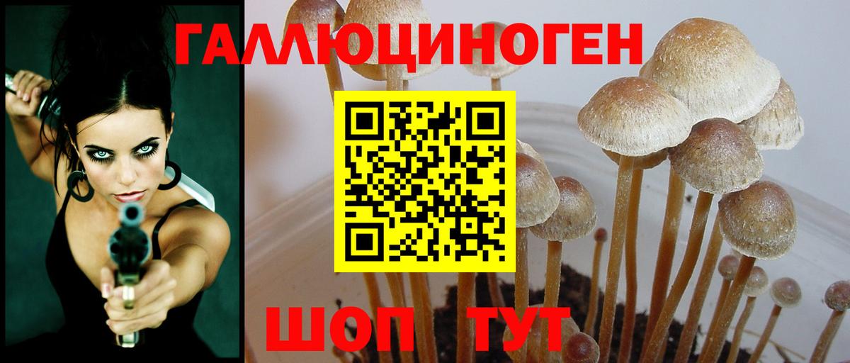 Псилоцибиновые грибы Psilocybine cubensis  Вход с VPN  Павлово 